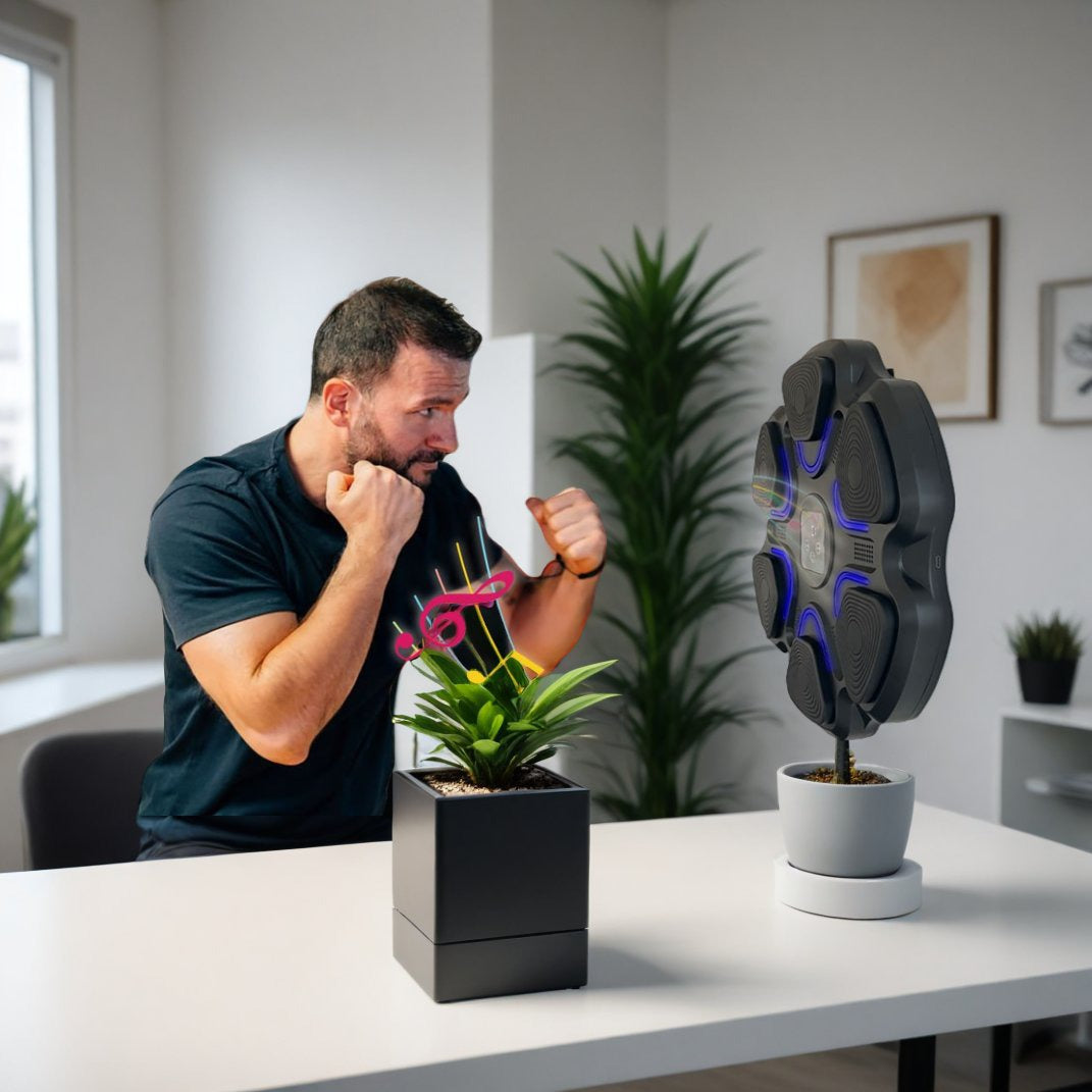 Boxing Music Box a 69,99€