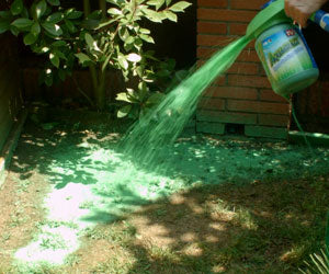 Aquagrazz a 1.250 CZK