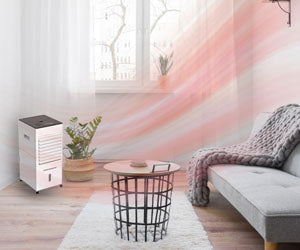 Starlyf Cooler & Heater 5 in 1 a 139,99€