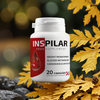 Inspilar