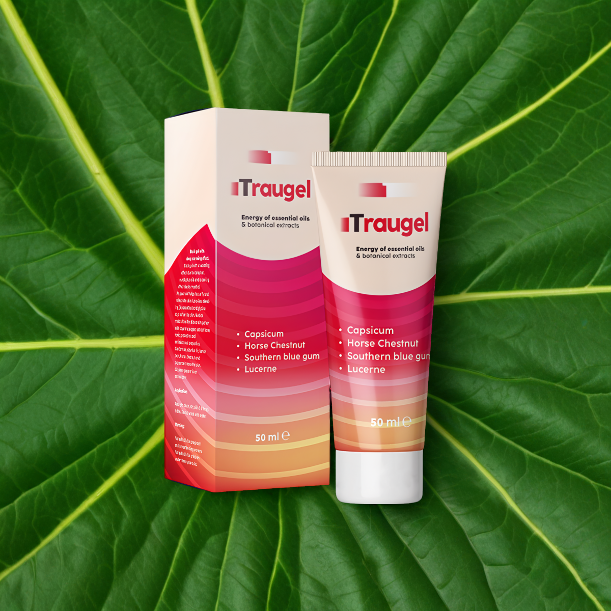 Traugel